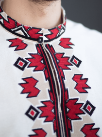 Вышитая рубашка Едельвіка модель 190-24-09 Фото