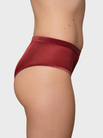 Труси Brabrabra модель SLZ27302311_burgundy Фото