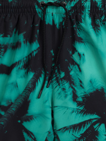 Шорти для плавання Atlantic модель KMB-227_ZIE_CZA Фото