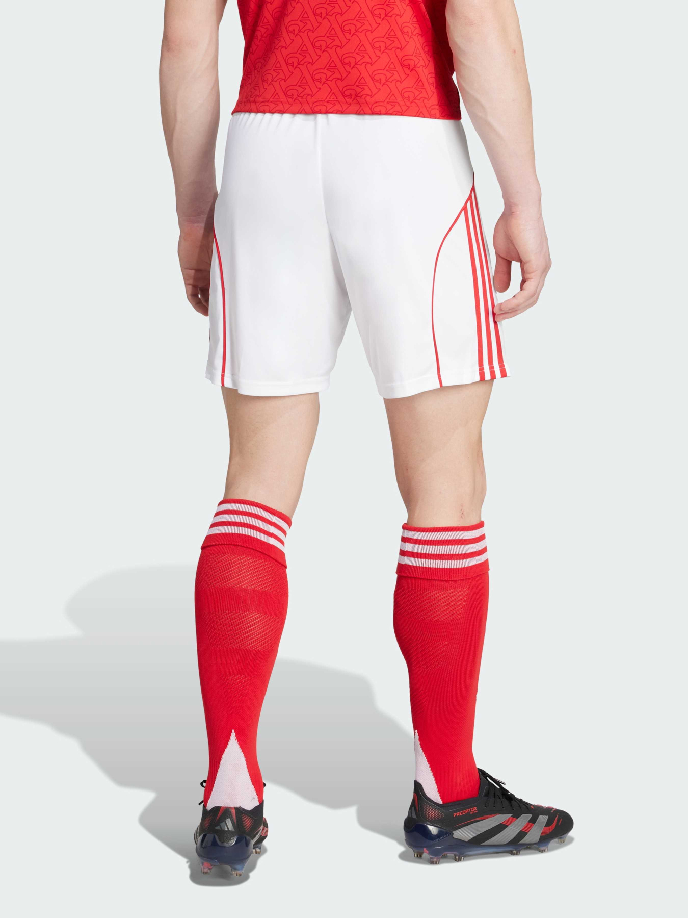 Спортивні шорти Adidas модель JI9515 Фото