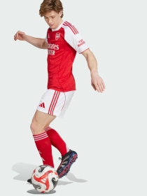 Спортивні шорти Adidas модель JI9515 Фото