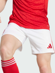 Спортивні шорти Adidas модель JI9515 Фото