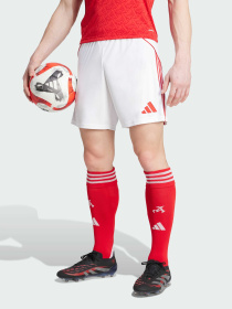 Шорты спортивные Adidas модель JI9515 Фото