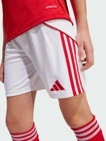 Шорти спортивні Adidas модель JI9528 Фото