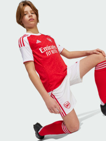 Шорты спортивные Adidas модель JI9528 Шорты спортивные Adidas модель JI9528 Фото