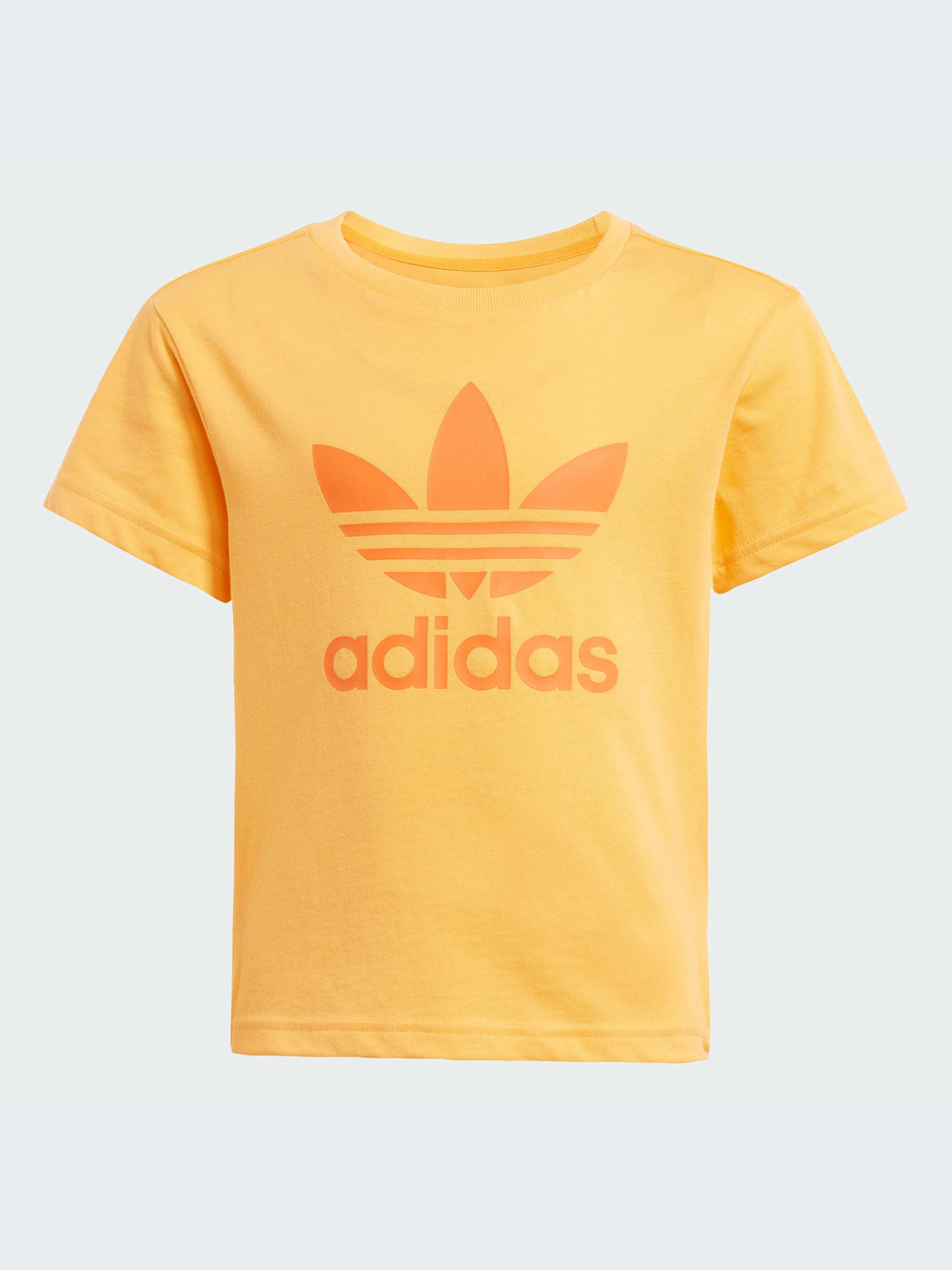 Костюмы Adidas Adicolor модель JC9162-KZ Фото