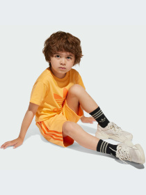 Костюмы Adidas Adicolor модель JC9162-KZ Фото