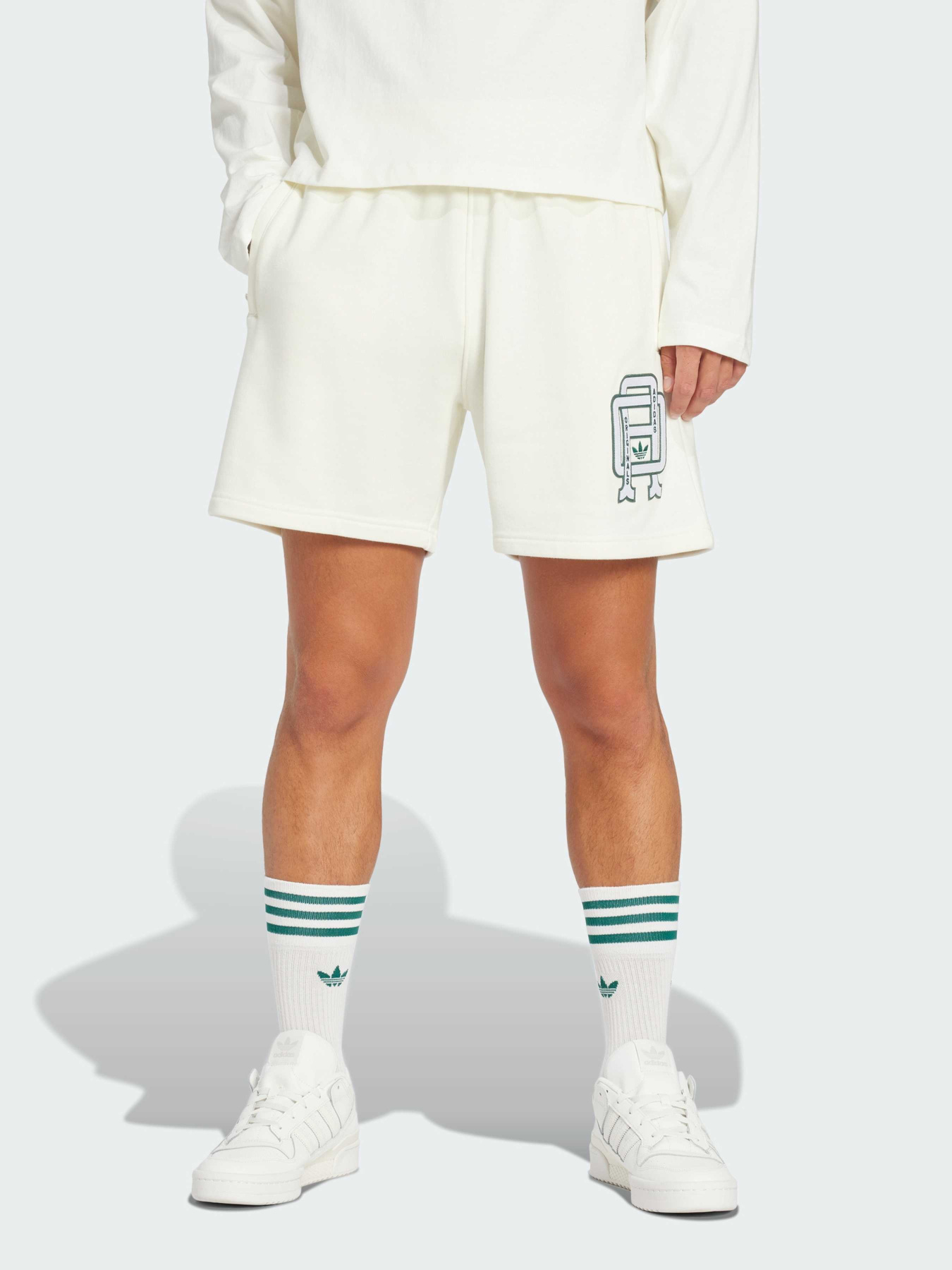 Повседневные шорты Adidas Graphics модель JD0688 Фото