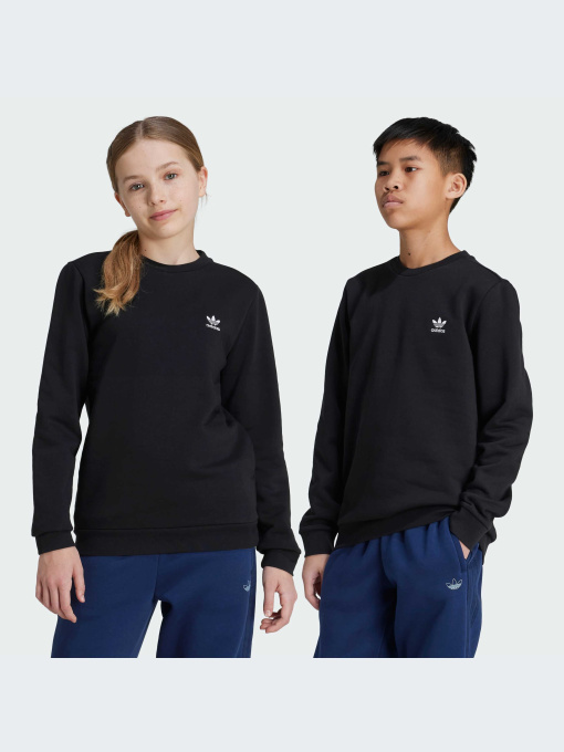 Худи и свитшоты Adidas модель IW3497-KZ Фото