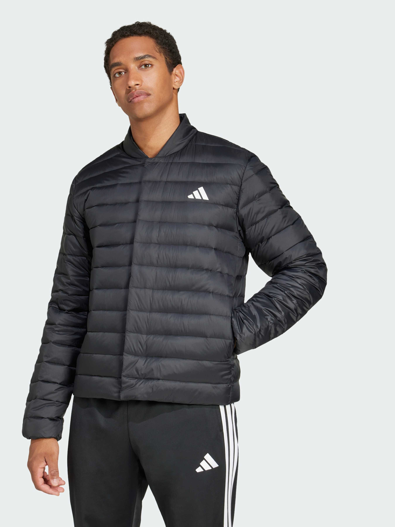 Пуховик Adidas модель JJ1198 Фото