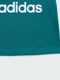 Футболка Adidas Adicolor модель IX5106 Фото