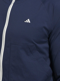 Ветровка Adidas модель IW6711 Фото