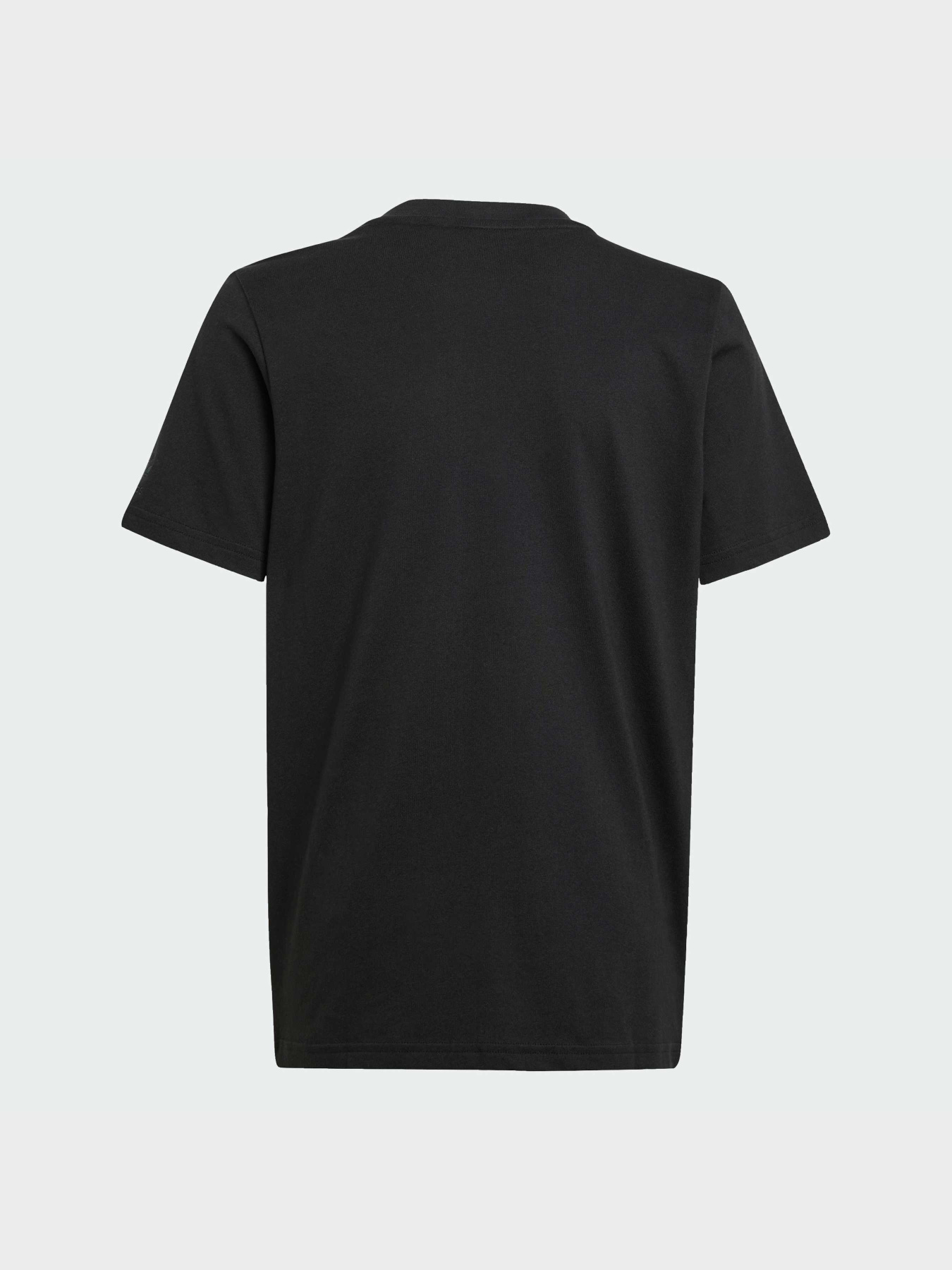 Футболка Adidas Graphics модель IY5451 Фото