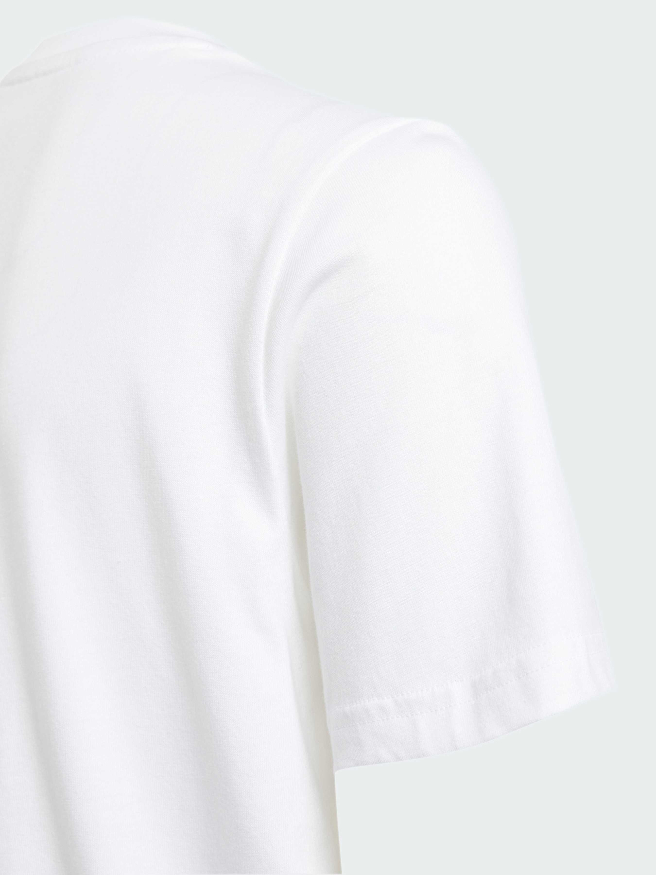 Футболка Adidas Graphics модель IY5453 Фото