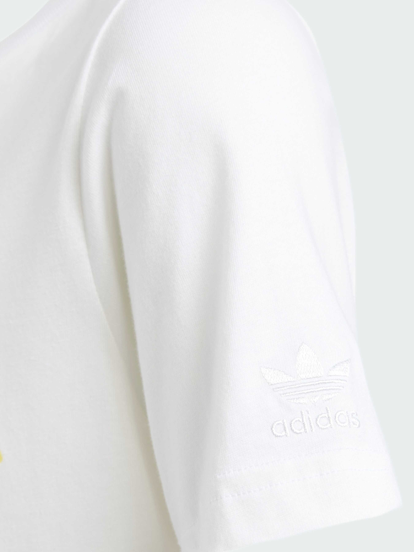 Футболка Adidas Graphics модель IY5453 Фото