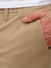 Повсякденні штани Trend Collection модель TC11958BeigeSHTN Фото