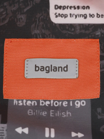 Рюкзак Bagland модель BGStylishMulticolored2RKZK Фото