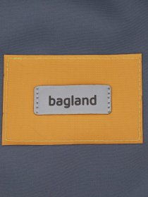 Рюкзак Bagland модель BGStylishGrey1RKZK Фото