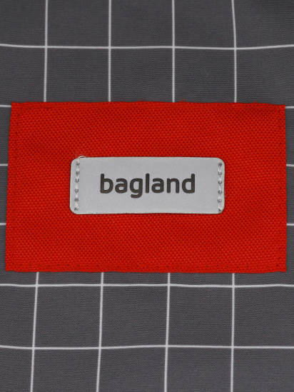 Рюкзак Bagland модель BGStylishMulticolored3RKZK — фото 5 - INTERTOP