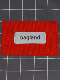 Повседневный рюкзак Bagland модель BGStylishMulticolored3RKZK Фото