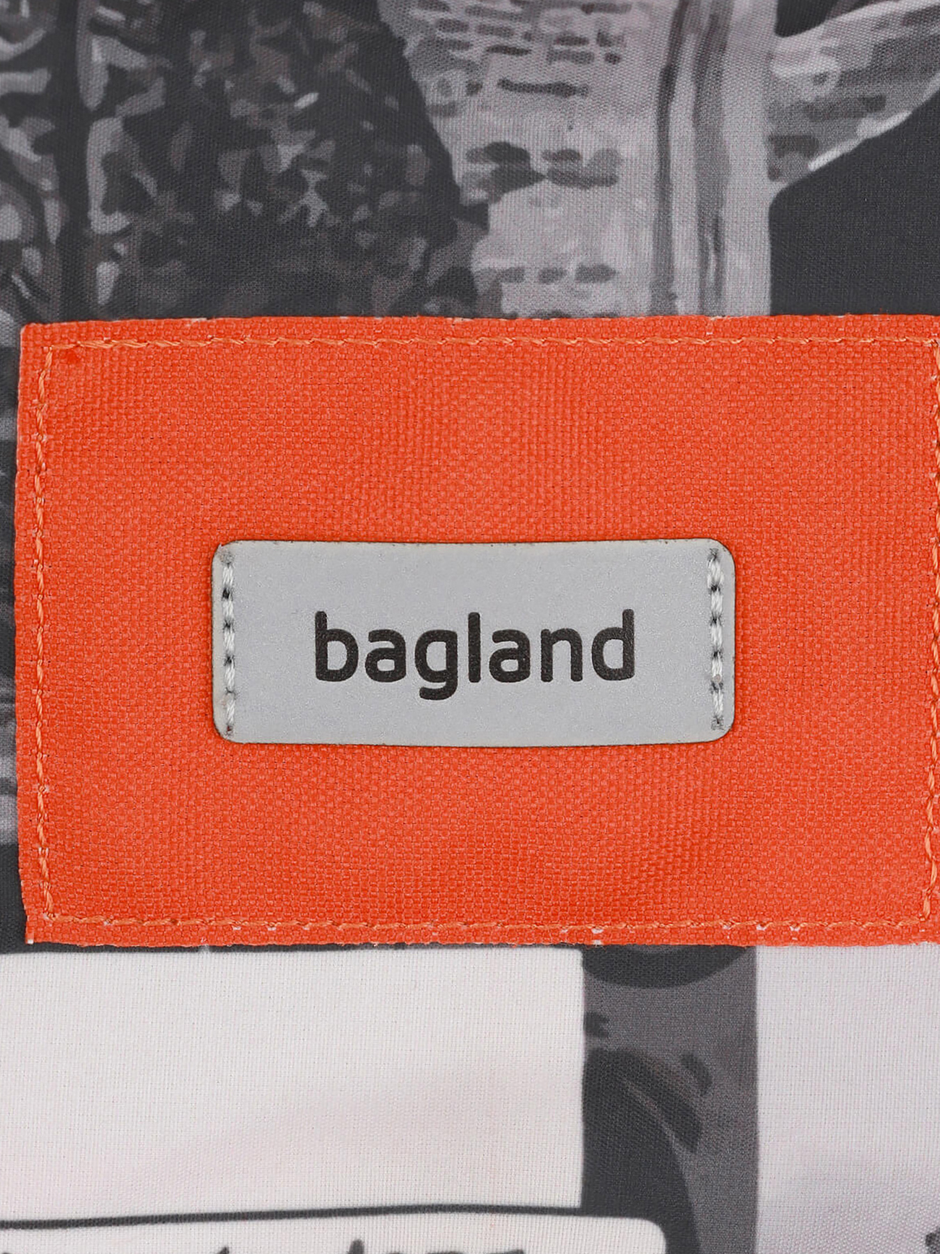 Рюкзак Bagland модель BGStylishMulticolored5RKZK Фото