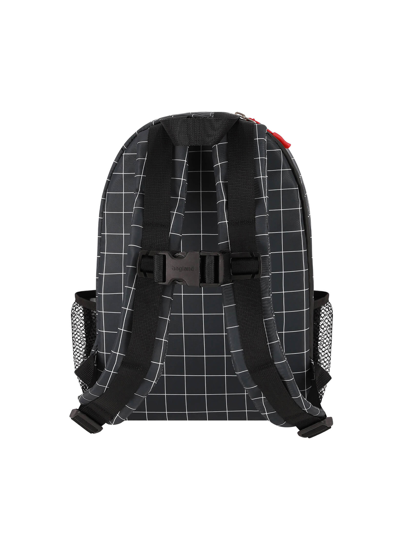 Рюкзак Bagland модель BGStylishMulticolored12RKZK Фото