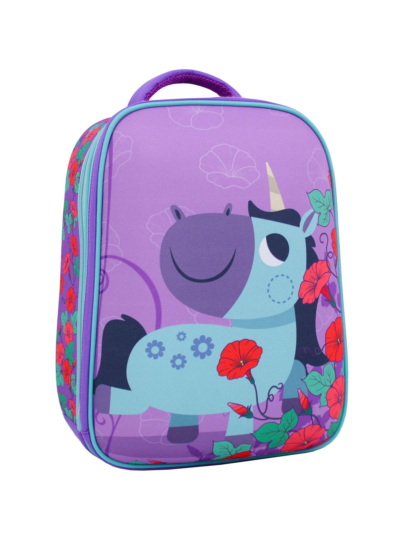 Повсякденний рюкзак Bagland модель BGTurtleMulticolored5RKZK Фото