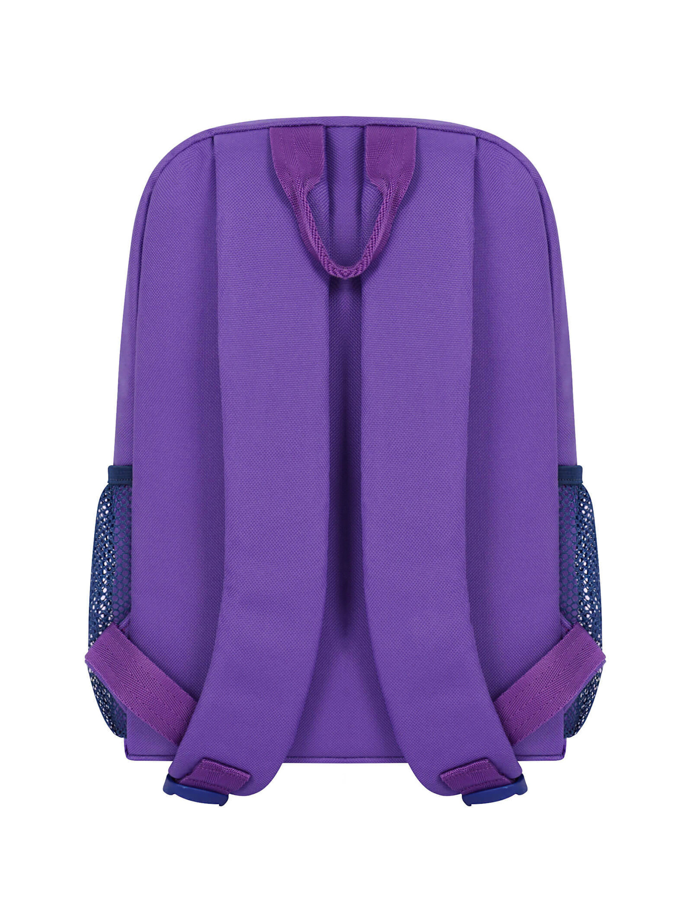 Рюкзак Bagland модель BGYoungMiniVioletRKZK Фото