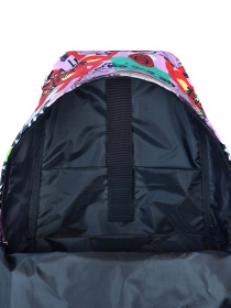 Рюкзак Bagland модель BGStylishMulticolored14RKZK Фото