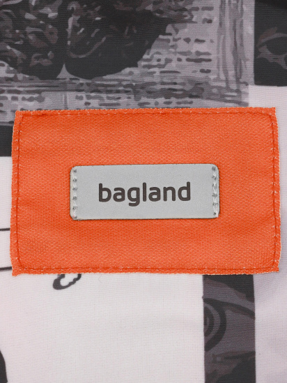 Рюкзак Bagland модель BGStylishMulticolored15RKZK — фото 5 - INTERTOP