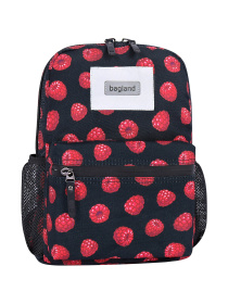 Повседневный рюкзак Bagland модель BGYoungMiniMulticolored23327RKZK Фото