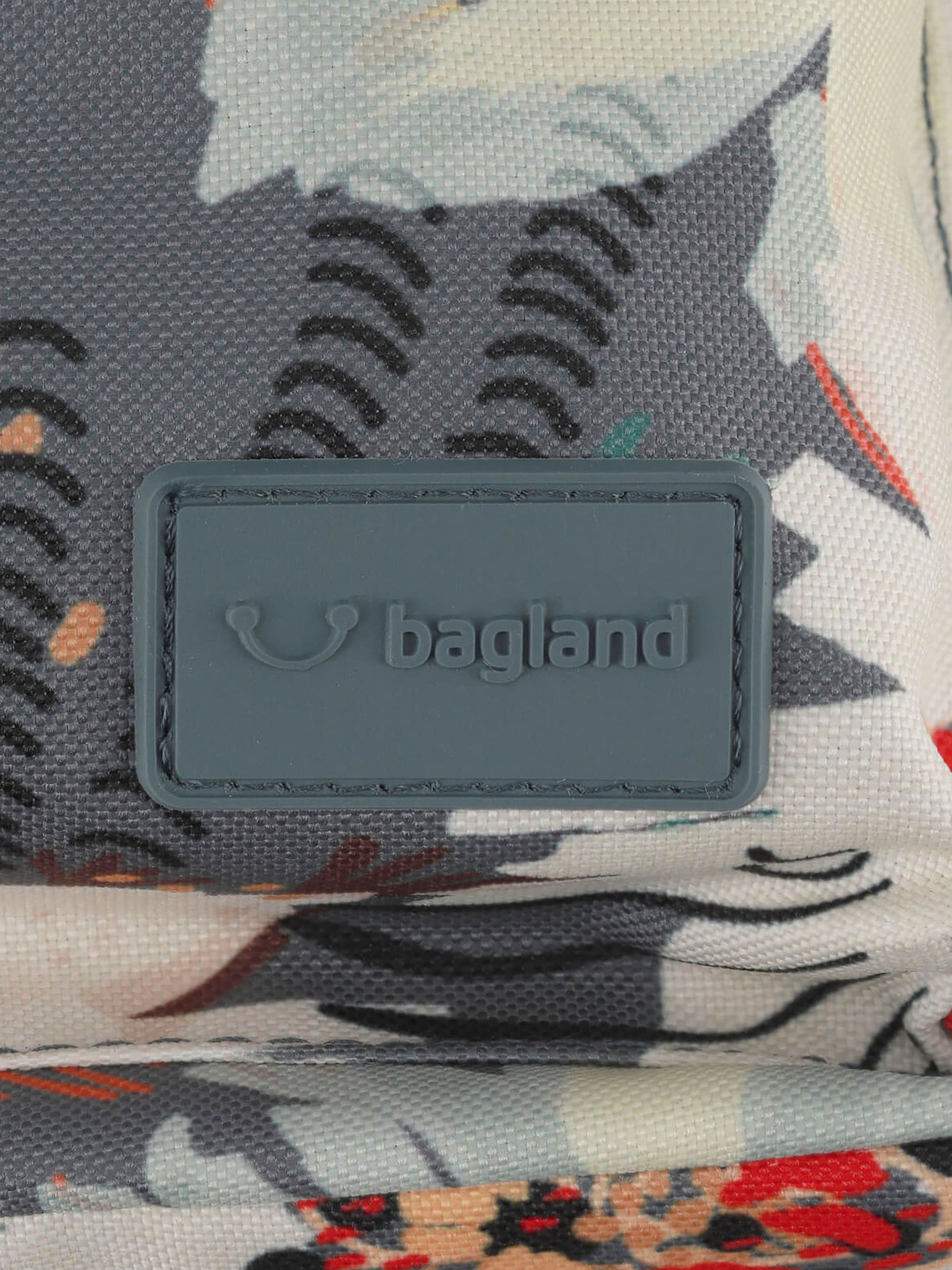 Рюкзак Bagland модель BGYoungMiniMulticolored23329RKZK Фото