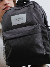 Повсякденний рюкзак Bagland модель BGYoungMiniGreyRKZK Фото