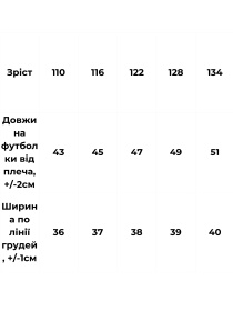 Футболка Носи своє модель 6414-001-33-5-1-blij Футболка Носи своє модель 6414-001-33-5-1-blij Фото