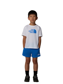 Костюмы The North Face модель NF0A8ANUTL41 Фото