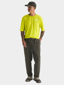 Брюки The North Face модель NF0A8B6221L1 Фото