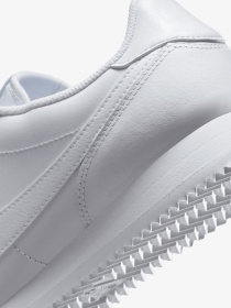 Кросівки NIKE модель DN1791.109 Фото