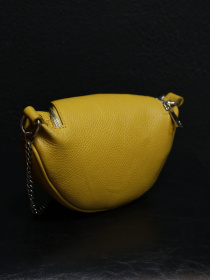 Сумка Legessy модель F_038 Фото