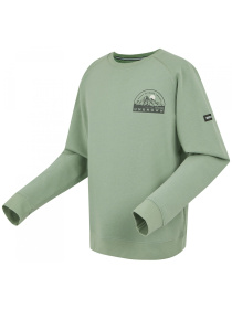 Свитшот Regatta модель RMA565-H6L Фото