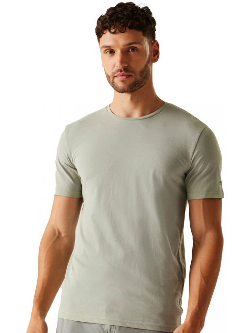 Футболка Regatta модель RMT218-R6B Фото