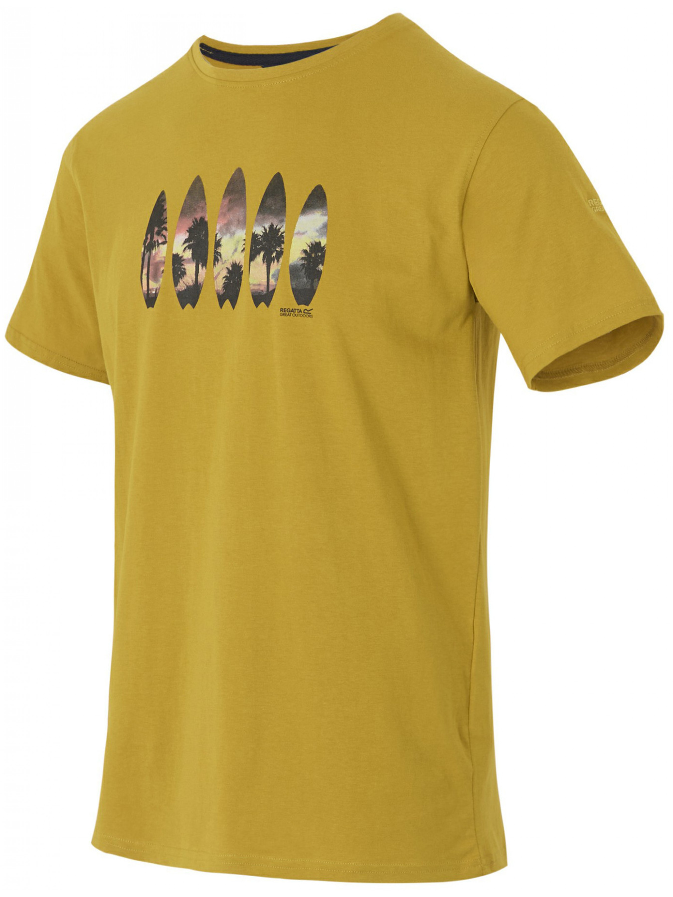 Футболка Regatta модель RMT296-6CH Фото