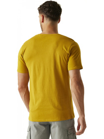 Футболка Regatta модель RMT296-6CH Фото