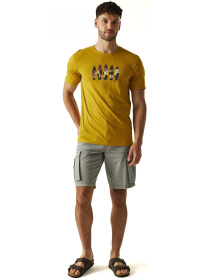 Футболка Regatta модель RMT296-6CH Фото