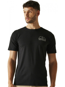 Футболка Regatta модель RMT296-T6N Фото