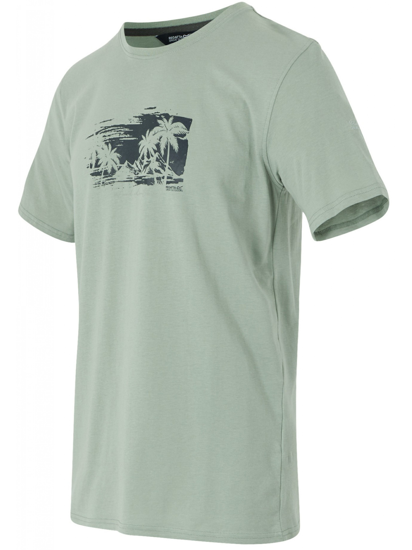 Футболка Regatta модель RMT296-U3A Фото