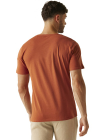 Футболка Regatta модель RMT296-V2Q Фото