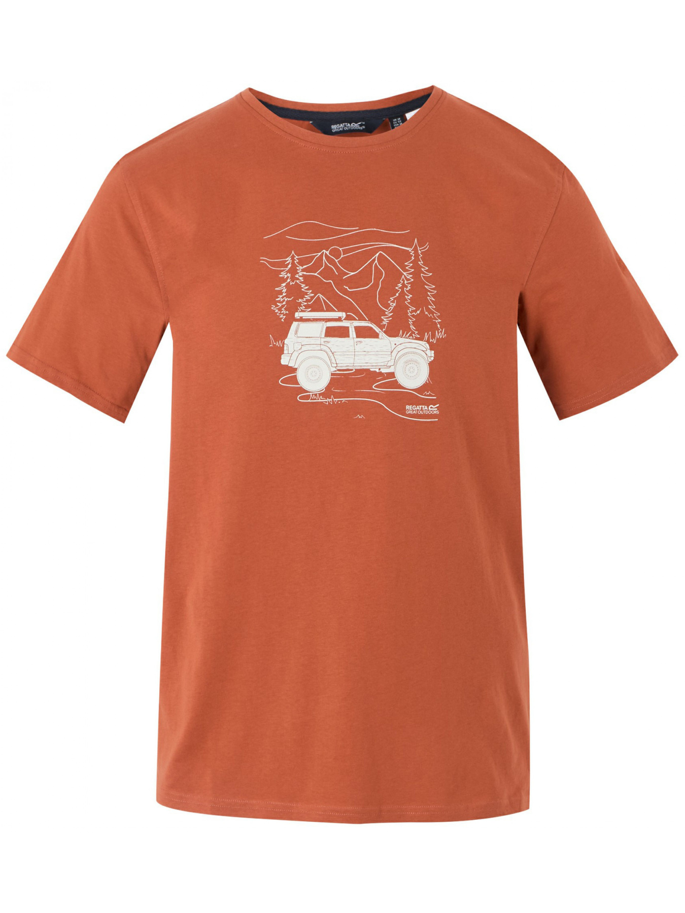 Футболка Regatta модель RMT296-V2Q Фото