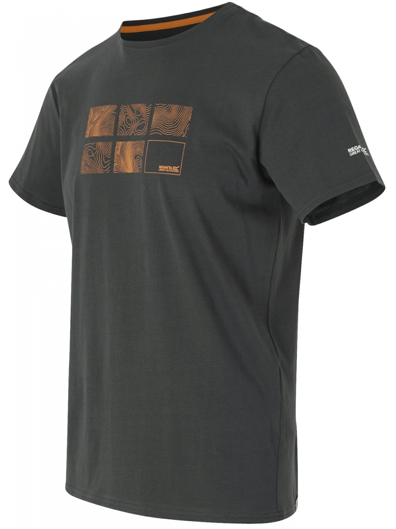 Футболка Regatta модель RMT316-61I Фото