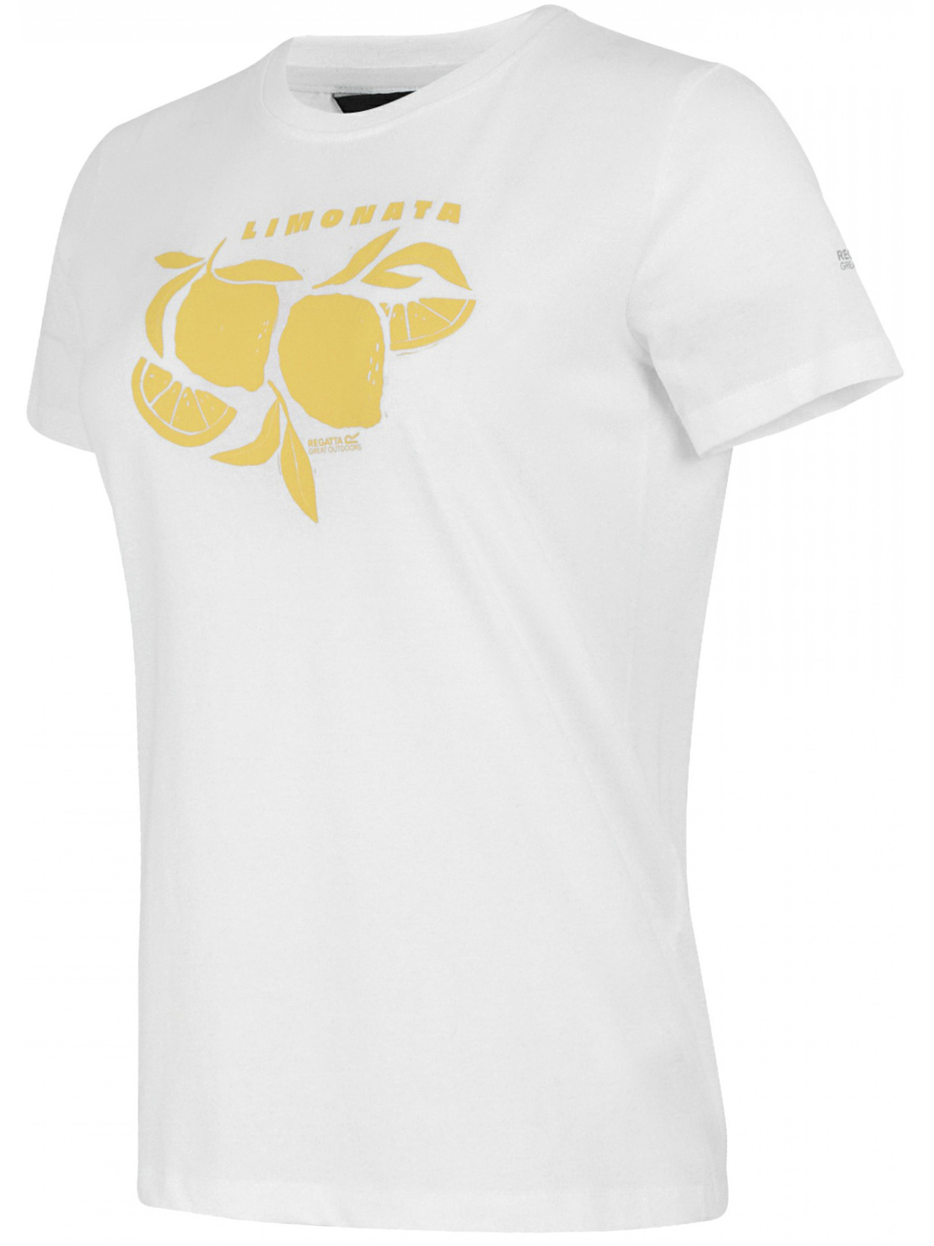 Футболка Regatta модель RWT327-095 Фото