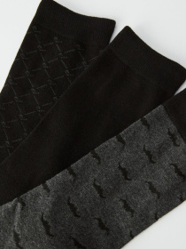 Набір шкарпеток DIVERSE модель 10040829 Фото